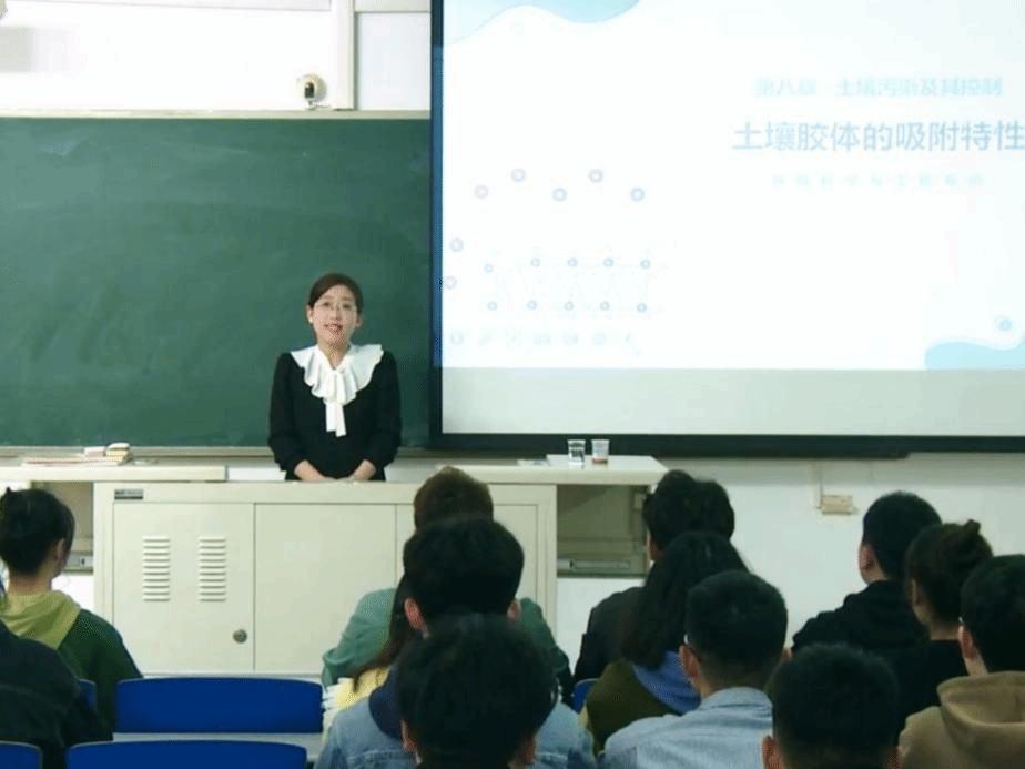 信用网博彩