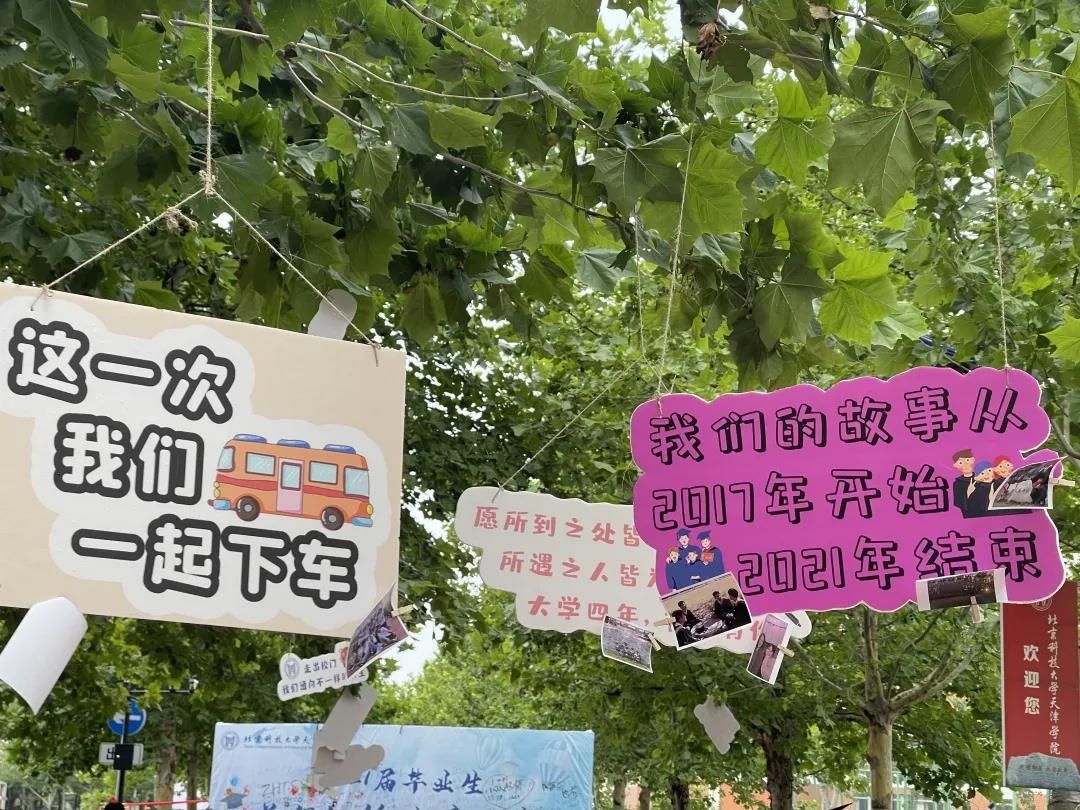 信用网博彩