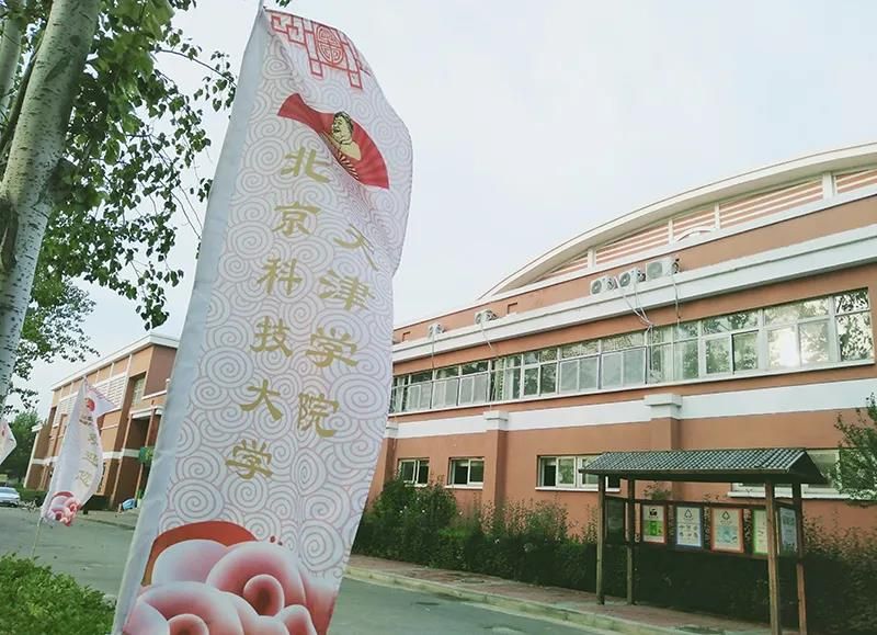 信用网博彩